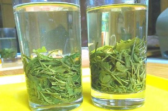 茶葉為什么不能亂送人，買(mǎi)茶葉一次送一盒還是兩盒