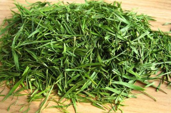 哪類人不適合喝石竹茶，石竹茶的功效與禁忌