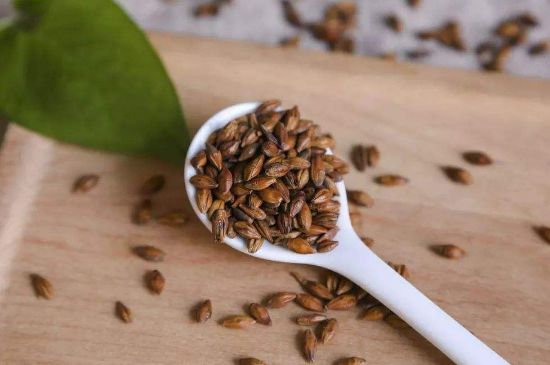 大麥茶上火嗎，喝大麥茶會不會上火？