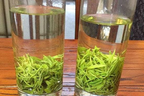 黃金茶的功效及禁忌癥，黃金茶有什么副作用嗎？