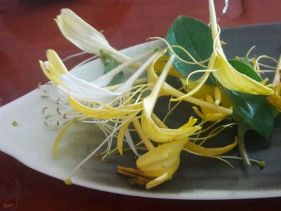 喝茶治口臭嗎，什么茶治口臭好？