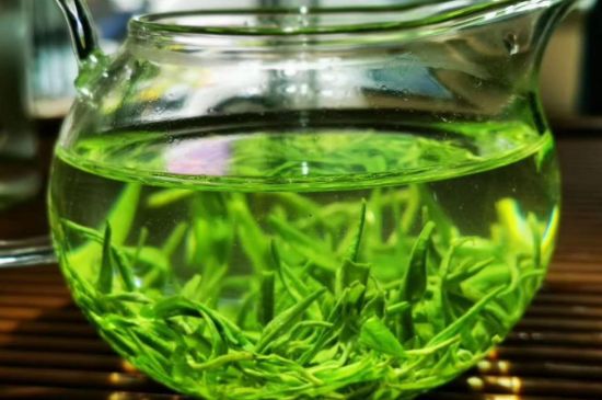 喝黃金茶禁忌，什么人不能喝黃金芽茶？