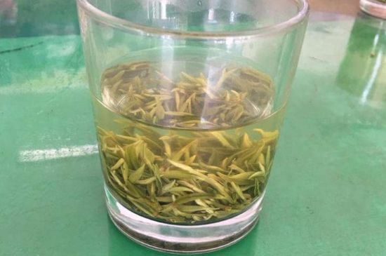 碧螺春正確泡法和飲用，碧螺春茶泡茶方法與溫度