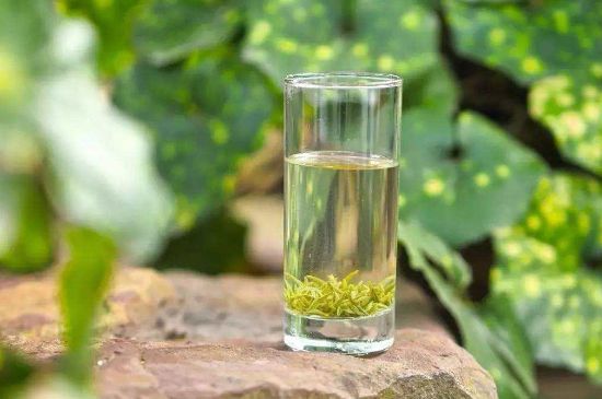 碧螺春沖泡三要素，碧螺春怎么泡才正確？