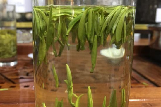 雀舌茶的副作用，雀舌茶什么人不能喝？