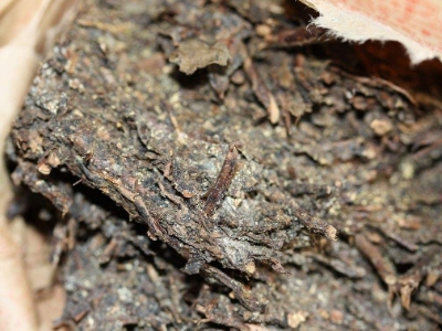 長期飲用黑茶的副作用，黑茶的功效與作用