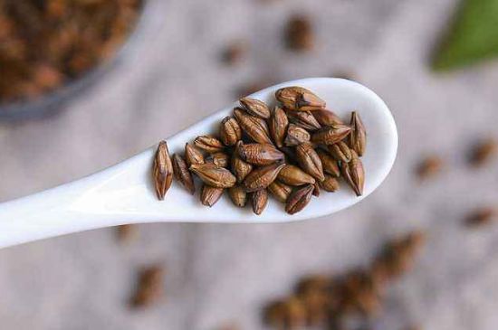 飯店的大麥茶為什么那么香，自己泡的蕎麥茶沒飯店香