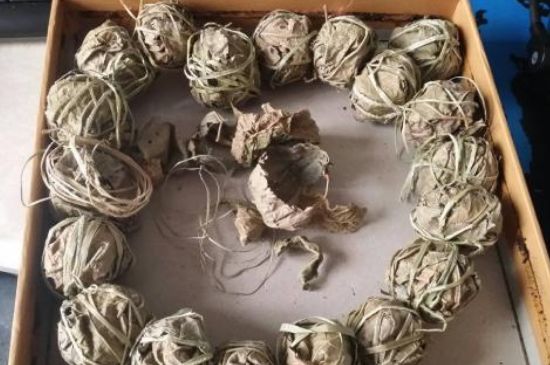 鷓鴣茶用拆開泡嗎，鷓鴣茶要解開繩子泡嗎