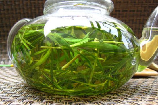 竹葉茶的禁忌，竹葉泡茶的功效禁忌