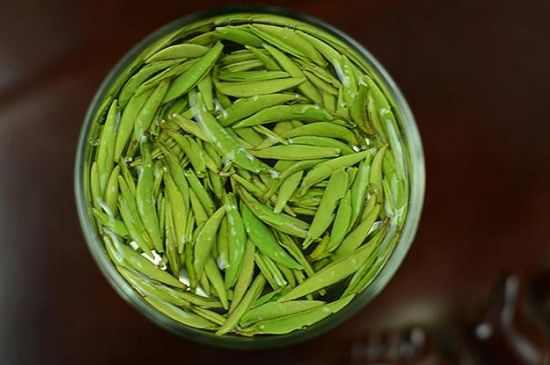 雀舌茶什么人不能喝，雀舌茶的功效與禁忌