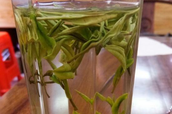 云霧綠茶的功效及禁忌，哪些人不適合喝云霧茶