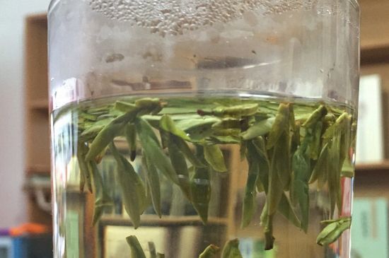 煮茶器能煮龍井嗎，龍井茶能不能用煮茶器圖