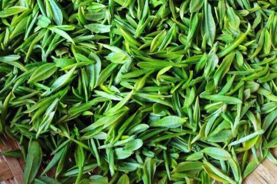 云霧綠茶的功效及禁忌，哪些人不適合喝云霧茶