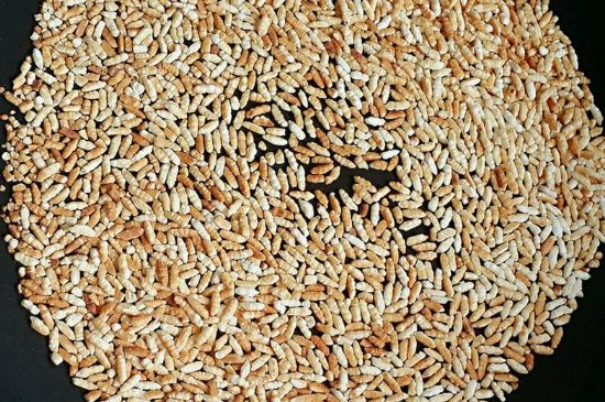 玄米茶是紅茶嗎，玄米茶怎么喝