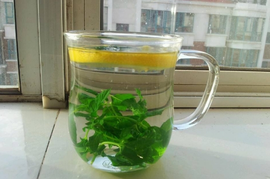 薄荷茶的功效與作用，喝薄荷茶有什么好處？