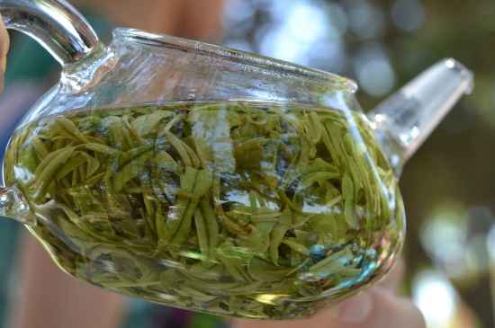 新手學(xué)泡茶的基本常識，從零開始學(xué)泡茶