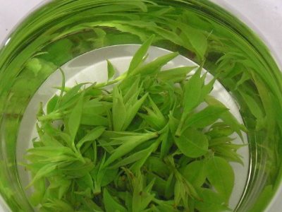 茶葉具有什么功效，茶葉的功效與作用大全