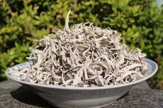 麗江雪茶的功效與作用，白雪茶有什么功效和作用