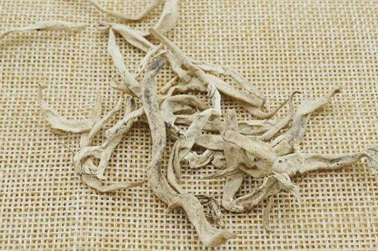 麗江雪茶的功效與作用，白雪茶有什么功效和作用