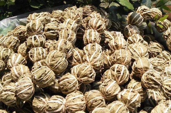 鷓鴣茶的禁忌，海南鷓鴣茶副作用