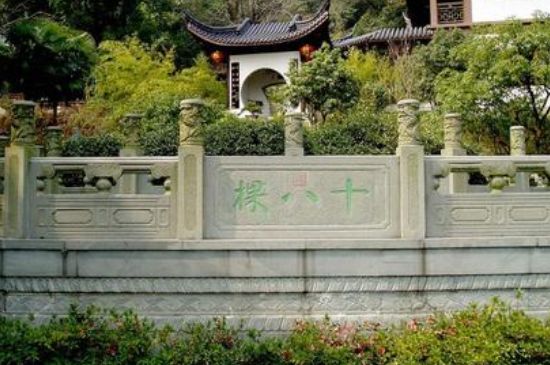 世界最貴的茶葉排行榜，十大最貴的茶