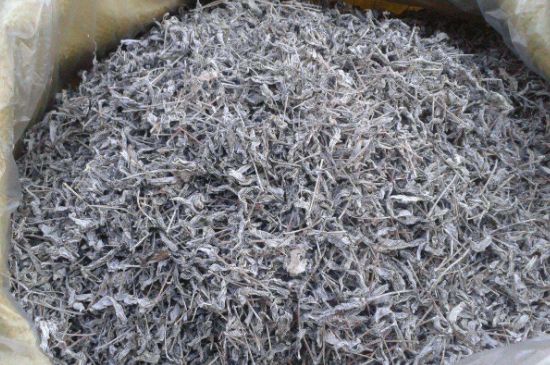 怎樣辨別莓茶發(fā)霉了，莓茶發(fā)霉和白霜的區(qū)別