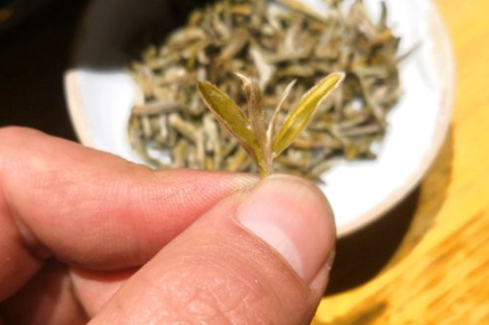 六大茶類哪種適合長期存放，日常如何保存方法一覽？