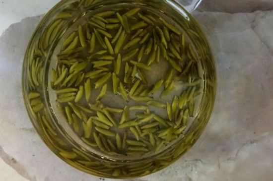 茶葉在哪里買比較好，哪里能買到好的茶葉