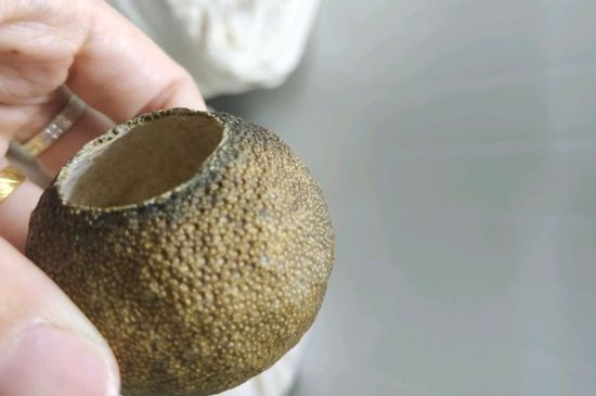 小青柑多少錢一盒，新會小青柑普茶價格一斤多少