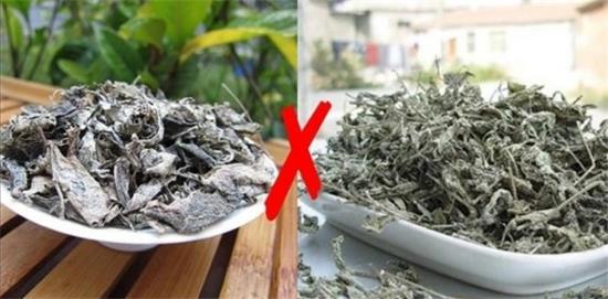 張家界茅巖莓茶與藤茶是同一種茶嗎，藤茶跟莓茶一不一樣？