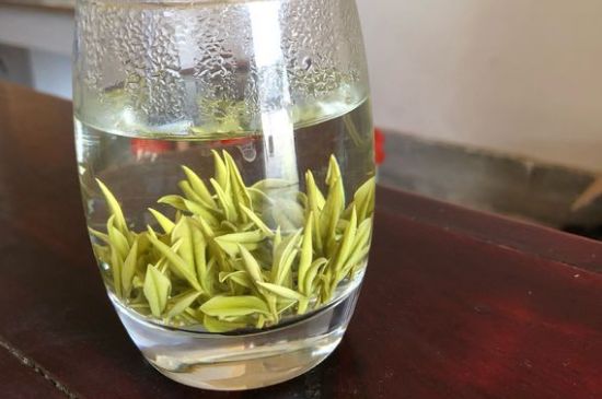 安吉白茶耐寒嗎，白茶適合放冰箱嗎