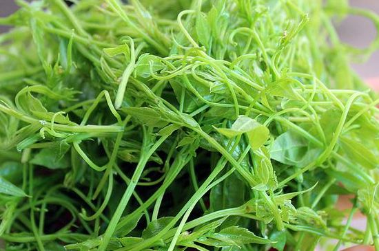 茅巖莓茶別名是什么，莓茶別名叫藤茶嗎？