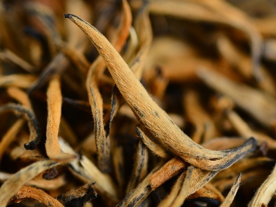 怎么知道什么茶葉適合自己，怎么判斷自己適合喝什么茶？