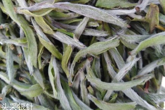 春茶季怎么辨別白毫銀針的好壞，好的白毫銀針如何選購？