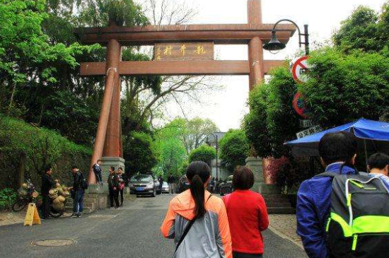 杭州買龍井茶攻略，怎么買到正宗的西湖龍井？