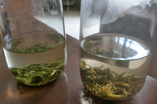 真假碧螺春泡水后區(qū)別，蘇州洞庭碧螺春怎樣鑒別好壞？