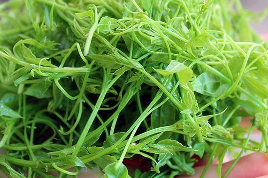 茅巖莓茶保質(zhì)期有多久，張家界莓茶存放時間長了還能喝嗎？