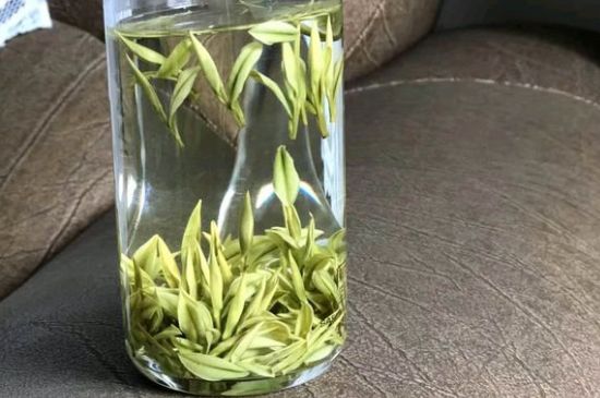 安吉白茶夏天怎么保存，安吉白茶能冷凍儲存嗎？