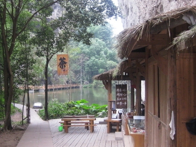 實體店買茶葉的技巧，新手買茶須知