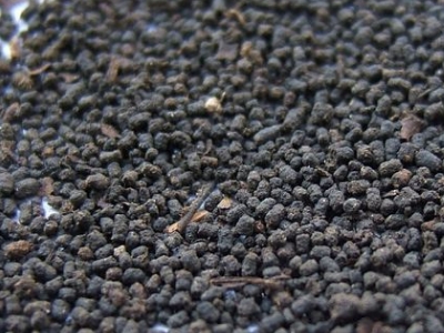 圓形顆粒狀茶是什么茶，像飼料一樣一粒粒的是什么茶？