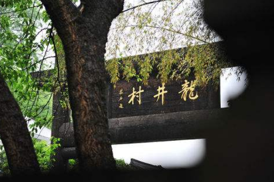 杭州買龍井茶攻略，怎么買到正宗的西湖龍井？