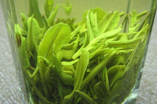 哪種茶葉可以放冰箱，哪些茶不能放冰箱？