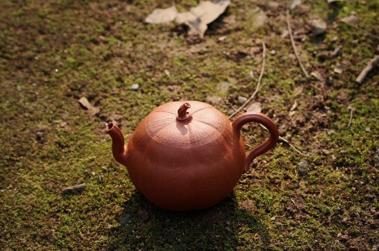 紫砂壺泡什么茶最佳，紫砂壺一般泡什么茶？