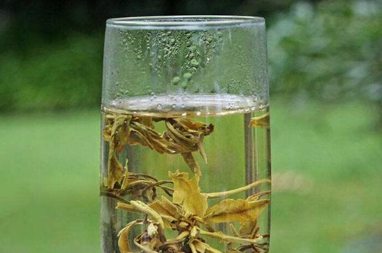 茉莉龍珠什么人不能喝，茉莉龍珠茶什么體質(zhì)不能喝？