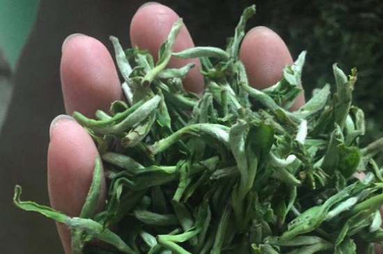 茉莉茶如何制作曬干，自制茉莉茶的做法