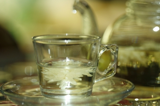 菊花茶天天喝行嗎，每天喝菊花泡茶喝好嗎？