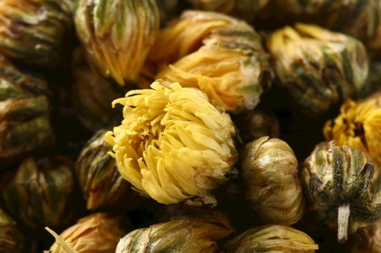 蒲公英搭配大全，蒲公英泡水喝的8種搭配