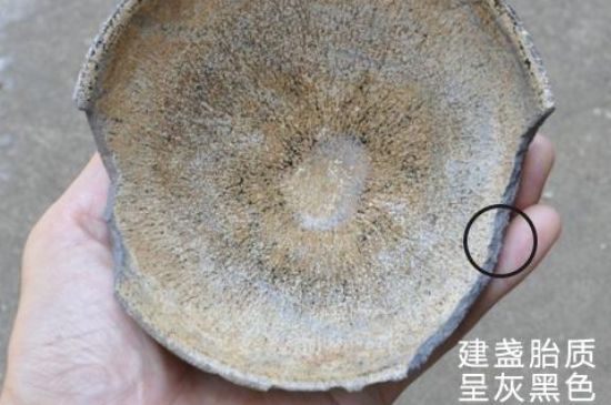 假建盞的特點(diǎn)，真假建盞區(qū)分帶圖