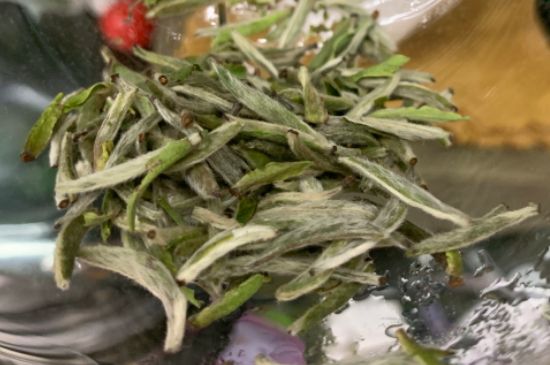 蒸汽煮茶器適合什么茶，蒸汽煮茶器適合用綠茶嗎？