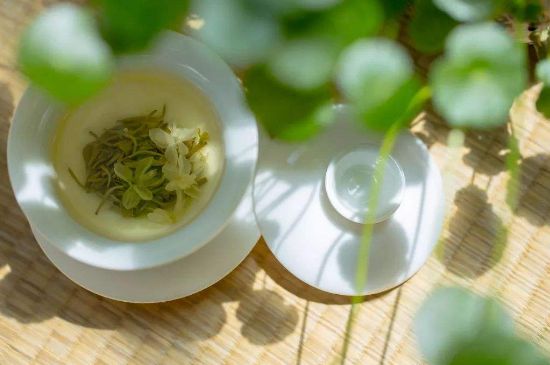 茉莉花茶6種人不要喝，什么體質(zhì)不適合喝茉莉花茶？